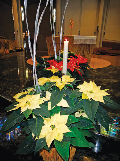 paoline arte floreale immacolata dicembre cristina cruciani 2 p